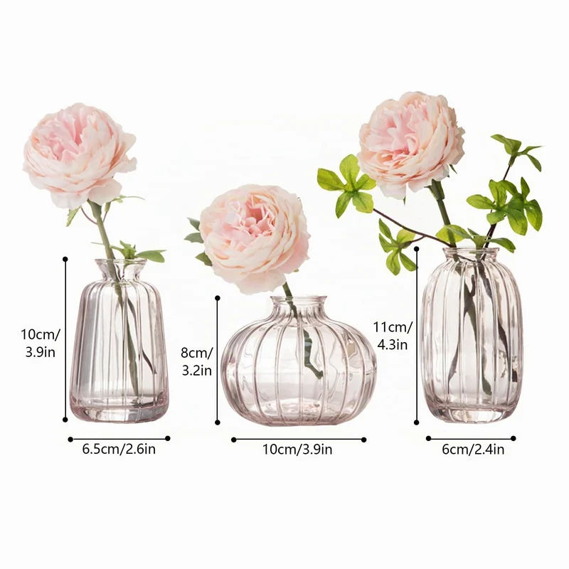 3er-Set Kleine Vasen für Tischdeko Dekorativ Glasvasen Blumenvase Set Bud Vase Kaffee