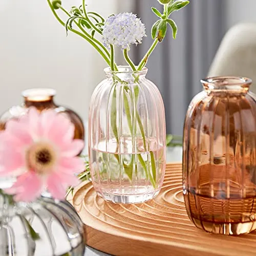 3er-Set Kleine Vasen für Tischdeko Dekorativ Glasvasen Blumenvase Set Bud Vase Kaffee