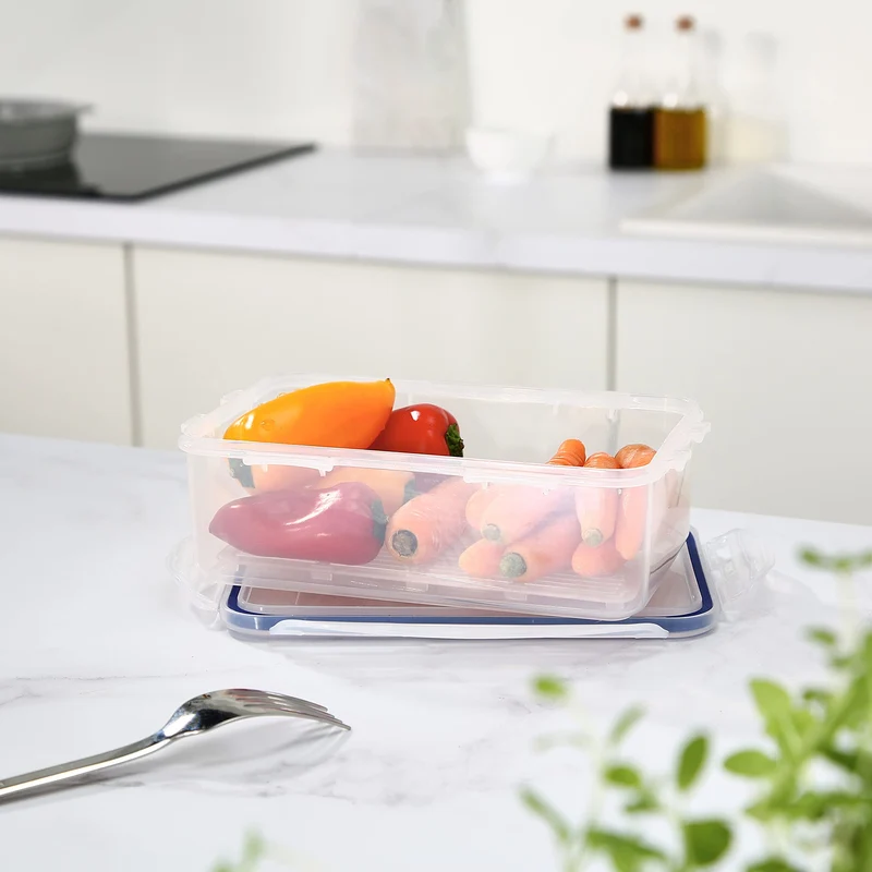 LocknLock PP Classic Vorratsdose mit Ablaufgitter | 1 L | 20,5 x 13,4 x 6,9 cm | 100 % luft- und wasserdicht | Gefrier-& Kühlschrank Organizer | Spülmaschinen-& Mikrowellengeeignet