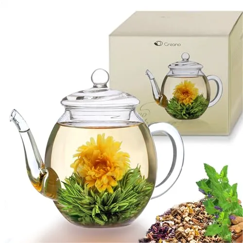 Creano Teekanne aus Glas mit Deckel für 500ml Tee aus Teeblumen, Teerosen und losem Tee sowie Teebeuteln - Dobin-Teekanne hochwertig, hitzebeständig