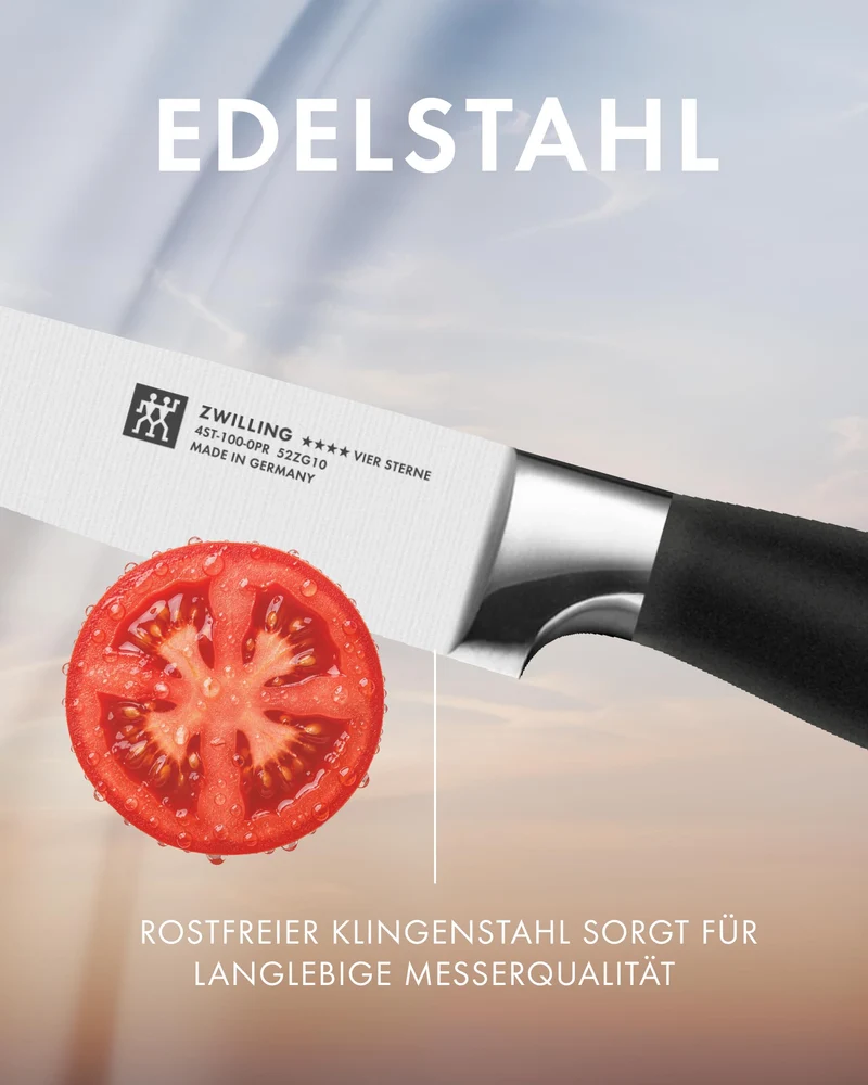 ZWILLING VIER STERNE Spick & Garniermesser 10 cm, Rostfreier Spezialstahl, Ergonomischer Griff, Made in Germany, Schwarz