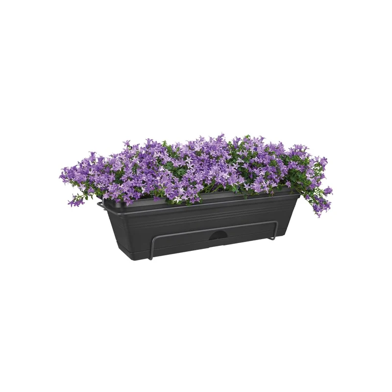 elho Green Basics Balkonkasten Allin 1 50cm - Living Schwarz