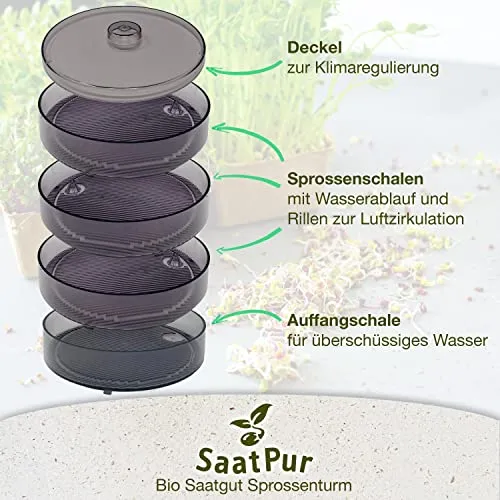 SaatPur® Keimsprossenbox Set 3 mit DREI Etagen als Sprossen Keimgerät: Sprossen Anzucht sowie Microgreens Anzuchtschalen. Keimbox, Keimschale, Qualität, Sprossenbox, Sprossenhaus, Keimgerät