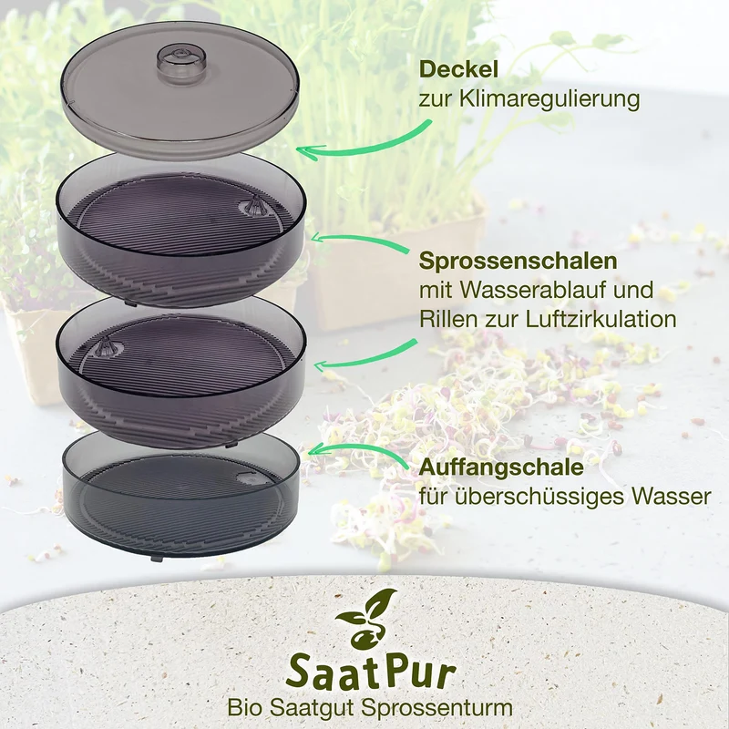 SaatPur® Keimsprossenbox Set 2 mit Zwei Etagen als Sprossen Keimgerät: Sprossen Anzucht sowie Microgreens Anzuchtschalen. Keimbox, Keimschale, Keimschachtel, Sprossenbox, Sprossenhaus, Keimgerät