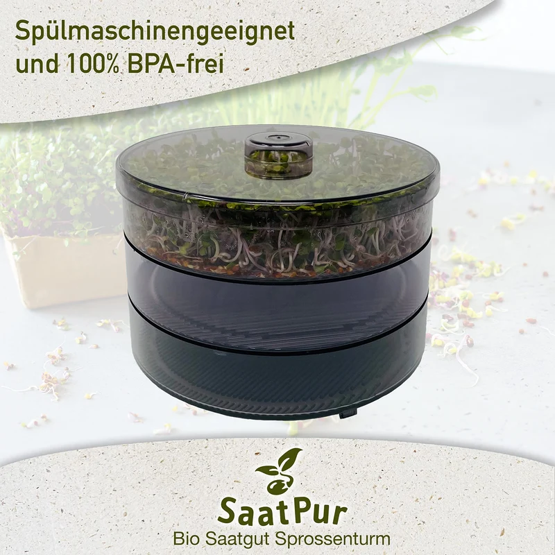 SaatPur® Keimsprossenbox Set 2 mit Zwei Etagen als Sprossen Keimgerät: Sprossen Anzucht sowie Microgreens Anzuchtschalen. Keimbox, Keimschale, Keimschachtel, Sprossenbox, Sprossenhaus, Keimgerät