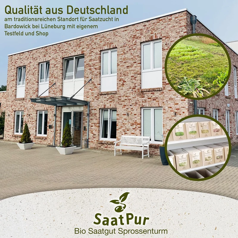 SaatPur® Keimsprossenbox Set 2 mit Zwei Etagen als Sprossen Keimgerät: Sprossen Anzucht sowie Microgreens Anzuchtschalen. Keimbox, Keimschale, Keimschachtel, Sprossenbox, Sprossenhaus, Keimgerät