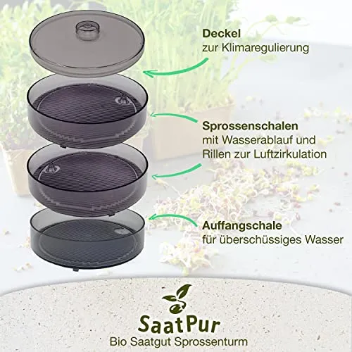 SaatPur® Keimsprossenbox Set 2 mit Zwei Etagen als Sprossen Keimgerät: Sprossen Anzucht sowie Microgreens Anzuchtschalen. Keimbox, Keimschale, Keimschachtel, Sprossenbox, Sprossenhaus, Keimgerät