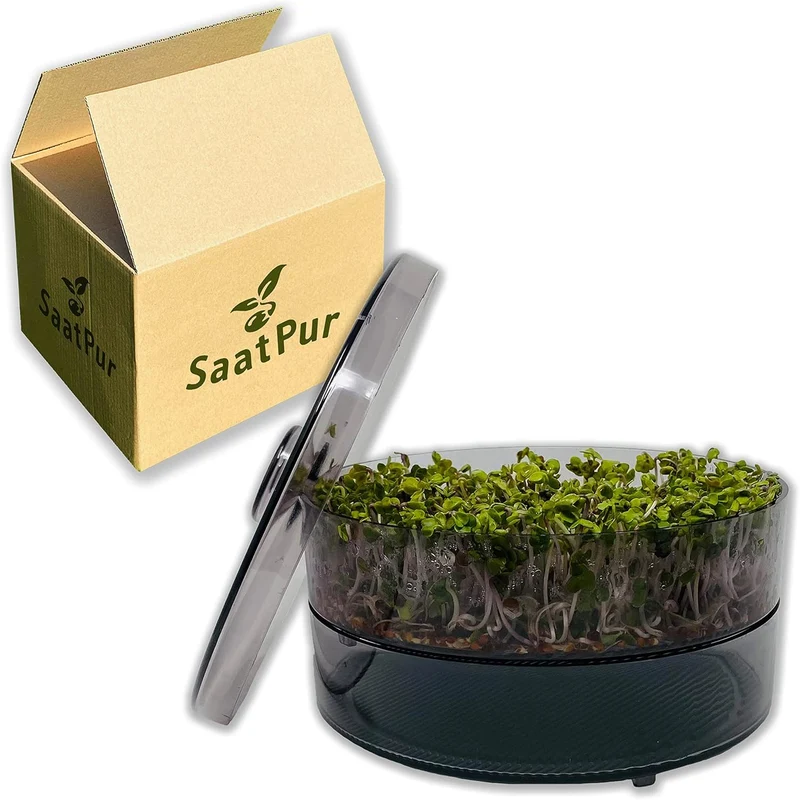 SaatPur® Keimsprossenbox Set 1 mit Einer Etagen als Sprossen Keimgerät: Sprossen Anzucht sowie Microgreens Anzuchtschalen. Keimbox, Keimschale, Keimschachtel, Sprossenbox, Sprossenhaus, Keimgerät