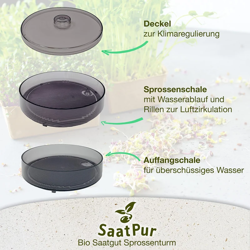 SaatPur® Keimsprossenbox Set 1 mit Einer Etagen als Sprossen Keimgerät: Sprossen Anzucht sowie Microgreens Anzuchtschalen. Keimbox, Keimschale, Keimschachtel, Sprossenbox, Sprossenhaus, Keimgerät