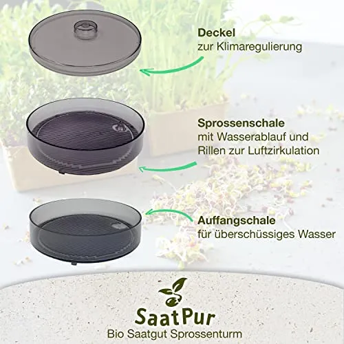 SaatPur® Keimsprossenbox Set 1 mit Einer Etagen als Sprossen Keimgerät: Sprossen Anzucht sowie Microgreens Anzuchtschalen. Keimbox, Keimschale, Keimschachtel, Sprossenbox, Sprossenhaus, Keimgerät