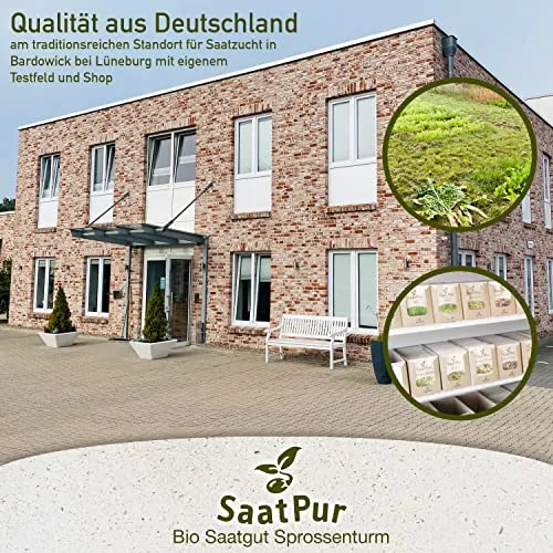 SaatPur® Keimsprossenbox Set 1 mit Einer Etagen als Sprossen Keimgerät: Sprossen Anzucht sowie Microgreens Anzuchtschalen. Keimbox, Keimschale, Keimschachtel, Sprossenbox, Sprossenhaus, Keimgerät