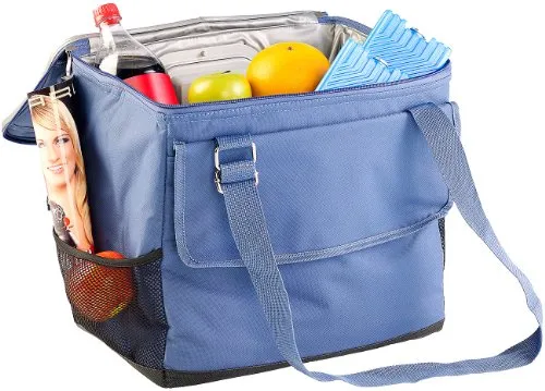Xcase Kühltasche 12V: Elektrische 12-V-Thermo-Kühltasche fürs Auto, 35 l (Elektrische faltbar, Autokühltasche, Kfz)
