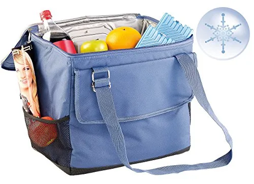 Xcase Kühltasche 12V: Elektrische 12-V-Thermo-Kühltasche fürs Auto, 35 l (Elektrische faltbar, Autokühltasche, Kfz)