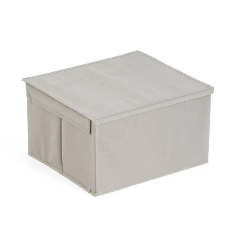 LIVMORE Aufbewahrungsbox aus Vliesstoff und Karton mit Deckel, 35x30x20cm, Blau
